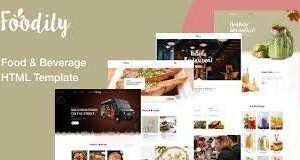 WordPress Theme
